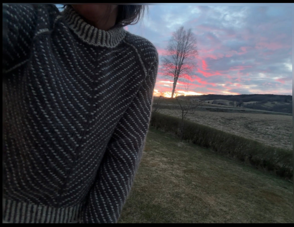 Twisty genser i solnedgang
